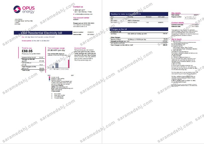 United Kingdom Opus Energy electricity utility bill template in Word and PDF format (2 pages)
